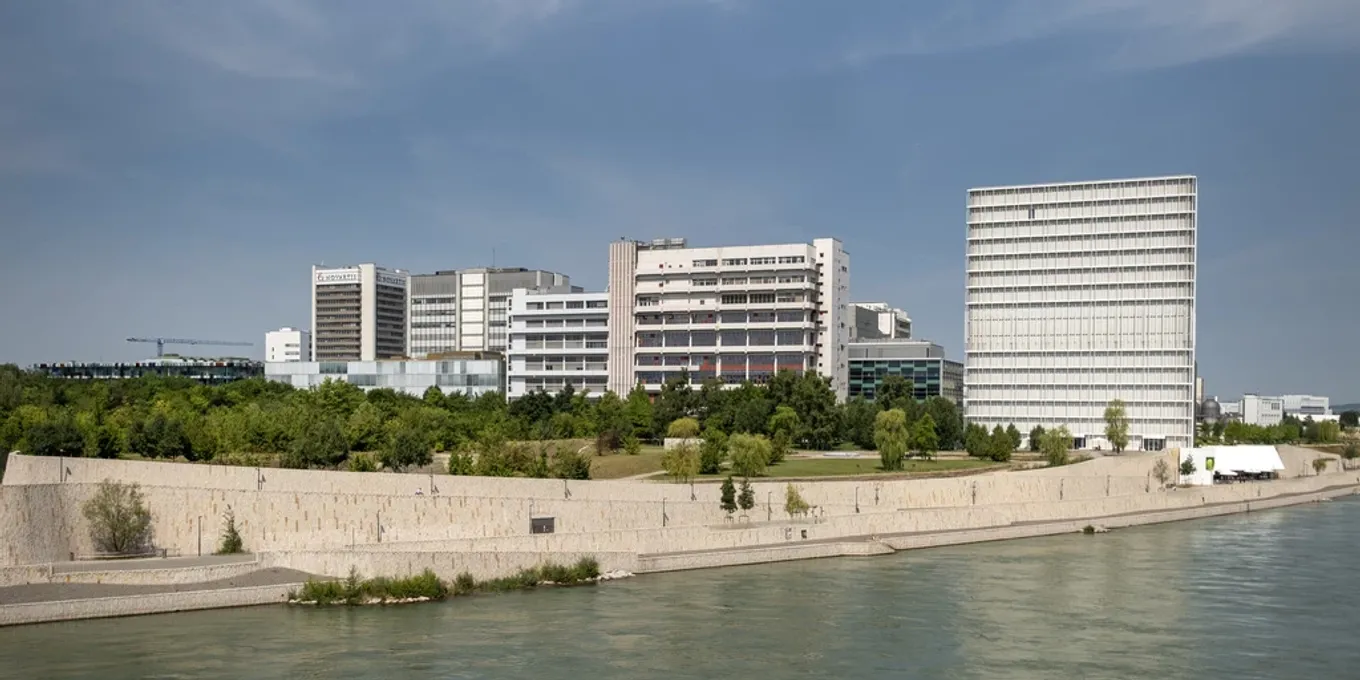 novartis-2